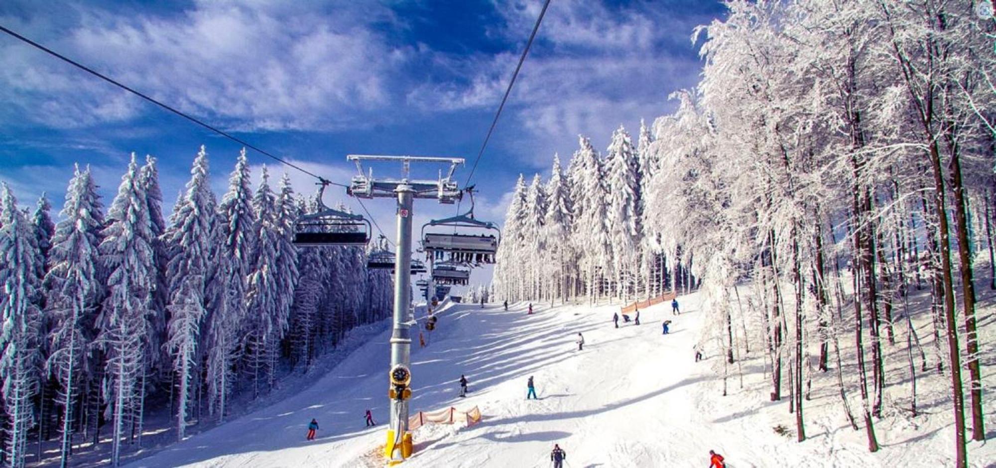 Alpen Appartement Winterberg Kültér fotó