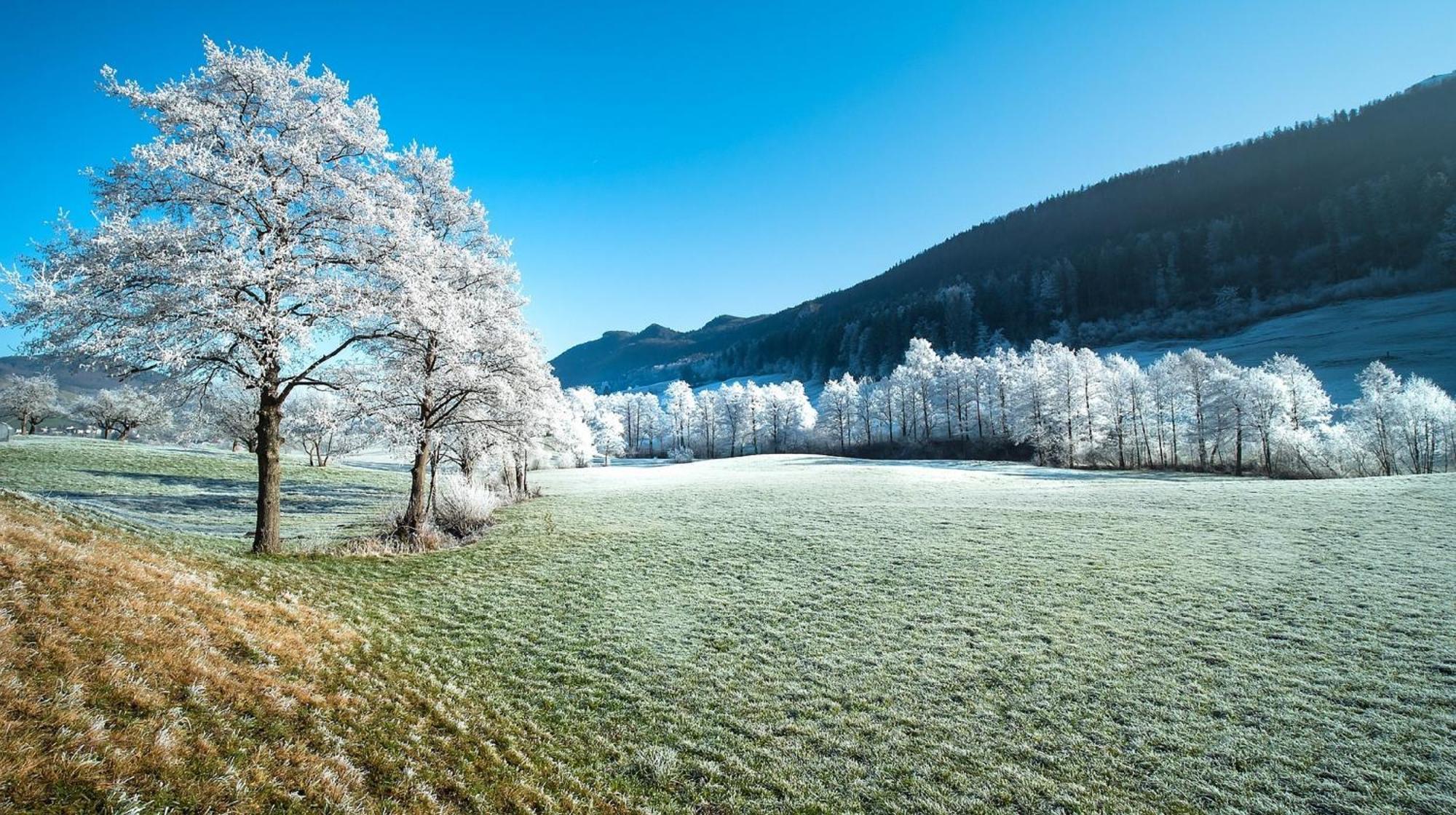 Alpen Appartement Winterberg Kültér fotó